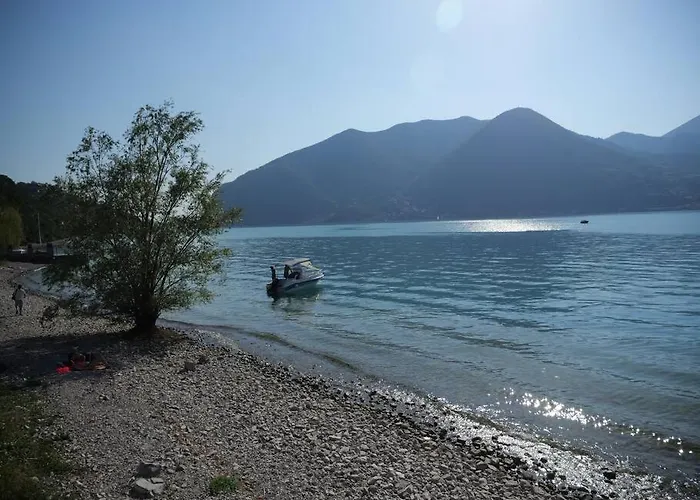 La Corte Del Cigno